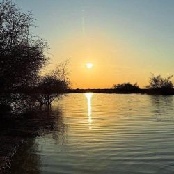 قوات الاحتلال الإسرائيلي تقتحم نابلس وبلدة زواتا