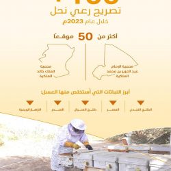 بفارق 4 نقاط.. طلاب تبوك يتغلبون على طلاب الشرقية في “فرسان التعليم”