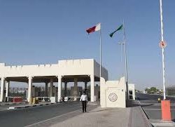 حرس الحدود بجازان يحبط تهريب (280) كيلوجرامًا من نبات القات المخدر