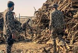 رياضة النسيم العليل