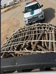 القوات الخاصة للأمن البيئي تضبط مخالفين لنظام البيئة لقطعهما الأشجار وتخزين الحطب المحلي وتفحيمه بمنطقة مكة المكرمة