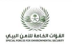 إكسبو الدوحة 2023 للبستنة يحتفي بـ “اليوم السعودي” ويقدم عروضاً فلكلورية بحضور سفراء وممثلي الدول المشاركة