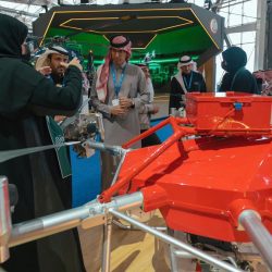 “أمانة المدينة المنورة” تُنظم مسيرة “Catwalk” لتعزيز الوعي بالمحافظة على القطط البرية من الانقراض