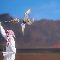 خلال برنامج حوار الرواد بغرفة الشرقية  ” تليد” يستعرض باقات الحلول الداعمة للمنشآت الصغيرة والمتوسطة