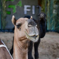 حالة الطقس المتوقعة اليوم