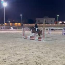 في يوم المسؤولية الاجتماعية السعودي    لنا .. تدشن برامجها وتعلن انطلاق حملاتها