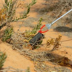 أمير منطقة نجران يرفع الشكر لخادم الحرمين الشريفين على موافقته الكريمة بإطلاق حملة إحسان