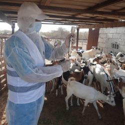 سمو أمير منطقة الباحة يرأس الإجتماع الأول للجنة الإشرافية العليا لصيف الباحة