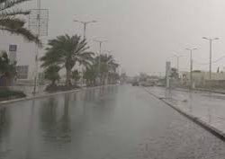 الحملات الميدانية المشتركة: ضبط (14672) مخالفاً لأنظمة الإقامة والعمل وأمن الحدود خلال أسبوع