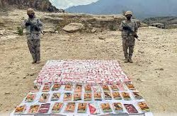 حرس الحدود بجازان يقبض على (4) مخالفين لنظام أمن الحدود لتهريبهم (75) كيلوجرامًا من نبات القات المخدر