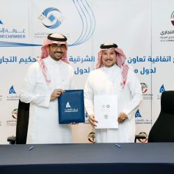 *الألعاب النارية تضيئ السماء في حفل مهرجان صيف المندق 2024*