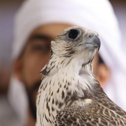 “أدنيك” الاماراتيه تستعد لاستضافة موسم قياسي وحافل بالفعاليات في النصف الثاني من العام 2024