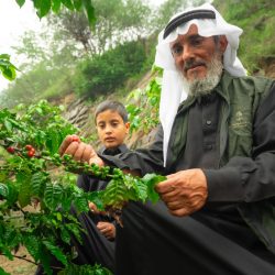 *محافظ محايل يقف على أضرار الأمطار الغزيرة والسيول التي شهدها مركز السعيدة*