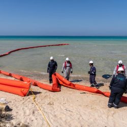 السحاري يستعرض دور المقاهي الأدبية قديما وحدثاً