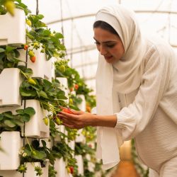 سمو محافظ الأحساء يزور الفعاليات المصاحبة لموسم صرام الأحساء