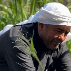 الجمعية السعودية الخيرية للتوحد تعلن عن إطلاق مشروع “معلمة الظل”