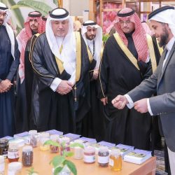 حب الوطن وجمال المملكة العربية السعودية مع الإعلامية هدى البارودي        “المملكة العربية السعودية: عشق يتجدد وجمال لا ينضب”
