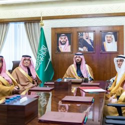 *أمير الشرقية يغرس أول شتلة “صندل” بالمنطقة الشرقية في مبادرة السعودية الخضراء*