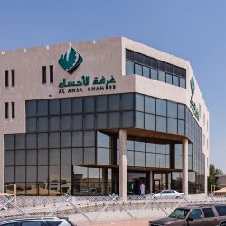 “في الطريق إلى دبي”.. “الأسد الأردني” جرّاح السيلاوي يتطلع لإلحاق أول خسارة بالروسي “سليمانوف”  