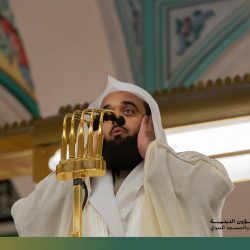 ضبط “5” مقيمين من الجنسية المصرية لمخالفة لائحة الأمن والسلامة لمزاولي الأنشطة البحرية بجازان 