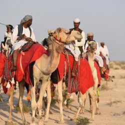 شيخ شمل قبائل آل عيسى بني حمد يهنئ خادم الحرمين الشريفين بذكرى البيعة العاشرة 