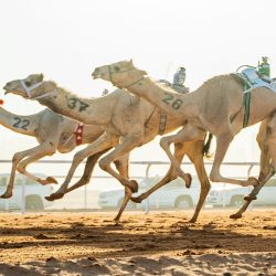 نائب أمير الشرقية يستقبل أعضاء لجنة السلامة المرورية بالمنطقة