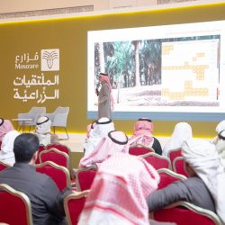 الرئيس التنفيذي لهيئة الأدب والنشر والترجمة:  جازان تحتضن أول معرض للكتاب برؤية ثقافية شاملة