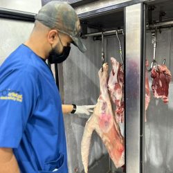 بعد مشوار حافل بالتحديات والإبداع اليوم .. الإعلان عن نجم الغد خلال موسمة الأول على شاشة SBC