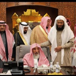 اتحاد فنون القتال المختلطة ينظم بطولة خالد بن حمد لـMMA يوم غد الخميس