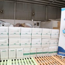 *11 ألف وجبة و145 معتمرًا في أسبوع.. نور تواصل عطائها في رمضان*