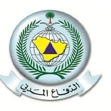 رئيس الاتحاد السعودي لكرة اليد يتقدم حضور فعالية تراث وحضارة لكرة اليد في صالة مضر