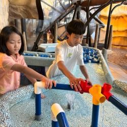 تعليم الباحة يحتفي بعيد الفطر المبارك .