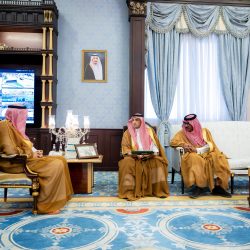 دنيا أبو طالب من منصة التايكوندو إلى منصة التكريم العالمي.