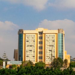 الجمعة… انطلاق الموسم الثاني من دوري المقاتلين المحترفين في جدة