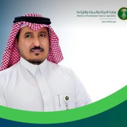 الجمعة… انطلاق الموسم الثاني من دوري المقاتلين المحترفين في جدة