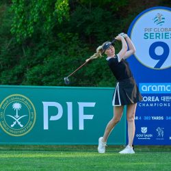 عبر مبادرة “لأثر أخضر يدوم” البيئية الرقمية النوعية:  البنك العربي الوطني anb يغرس 10 آلاف شجرة ذكية دعماً لمبادرة السعودية الخضراء