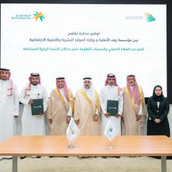 غاتسبي العظيم يحضر في سينماتك الخبر: جمعية السينما تختتم الحلقة الثانية من برنامج “رواية وفيلم”