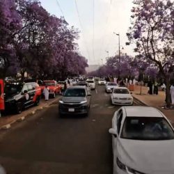 شيخ شمل قبائل آل عيسى بني حمد يُهنئ الأمير محمد بن عبدالعزيز بمناسبة تعيينه اميراً لمنطقة جازان برتبة وزير