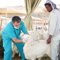 مؤسسة البريد السعودي | سبل تقدم خدمة “حج بلا حقيبة” تسهيلًا لضيوف الرحمن