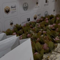 مبادرة فريق قمم عسير