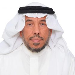 دبي تحتضن نزالين على لقب العالم في الفنون القتالية المختلطة 3 أكتوبر