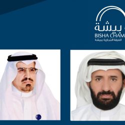 دبي تحتضن نزالين على لقب العالم في الفنون القتالية المختلطة 3 أكتوبر