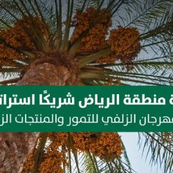 د. الخضري رئيسا لتحكيم السيناريو في المهرجان السينمائي الدولي بزاكورا