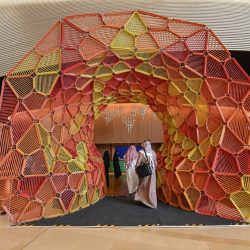 زراعة مليون شجرة موثقة رقميًا في منطقة عسير