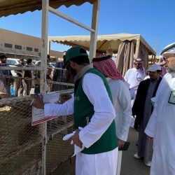 العَمى… بَصيرةُ القلوب قبل بَصَرِ العيون