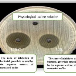 مسابقات بطولة العالم لرياضة الإطفاء والإنقاذ تحاكي الواقع وتقيس الكفاءة والدقة