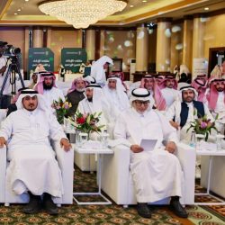 حنان المعلّم / المعلّمة