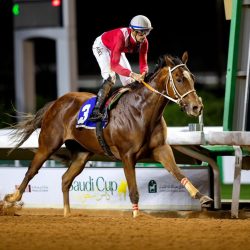 نجاح عملية فصل التوأم الملتصق الجامايكي “أزاريا وأزورا إيلسون” بعد عملية جراحية معقدة استغرقت (5) ساعات   