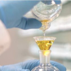 أكثر من 500 مشارك ينضمون إلى السباق للتوعية بتأثير السكري على البصر