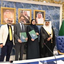 كأس العرب.. الأخضر يطير على دفعتين